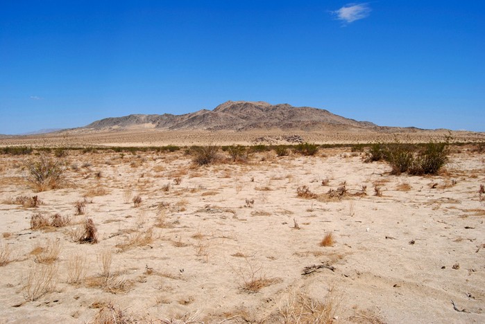 Cole Road